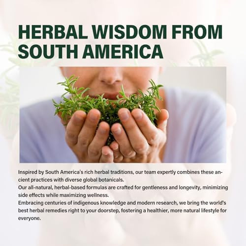 Verdeherb Cleavers Gotas De Drenagem Linfática Melhoram A Li - Imagem 6