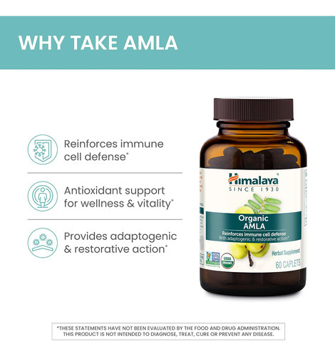 Antioxidante Natural Amla Orgânico Do Himalaia Para Suporte - Imagem 2