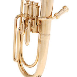 Instrumento Musical Em Miniatura Modelo De Tuba Em Escala 1/