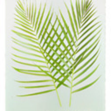 Glicerina Vegetal Orgânica Now Foods 237 Ml Importado 4un - Imagem 3