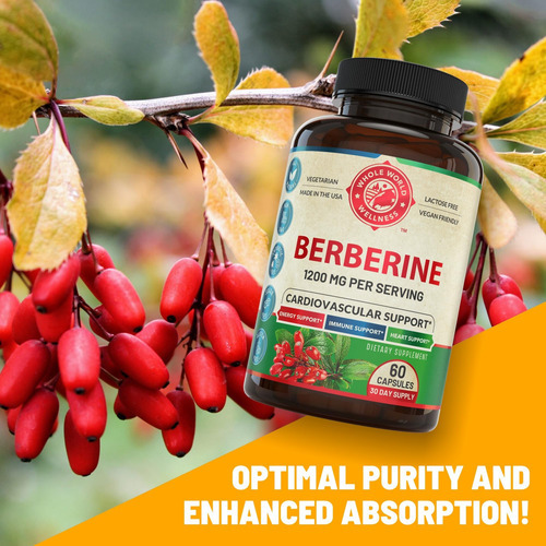 Suplemento De Berberina - Berberina Premium 1200mg Por Porçã - Imagem 3