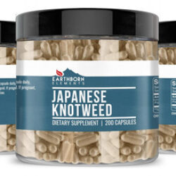 Extrato De Knotweed Japonês Da Earthborn Elements 200 Cápsul