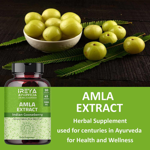 Cápsulas De Extrato De Fruta Amla De Ireya Ayurveda (90 Cáps - Imagem 6