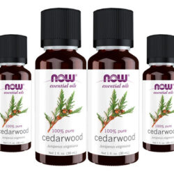 Óleo De Cedro 100% Puro Now Foods Cedarwood Oil 30ml 4un