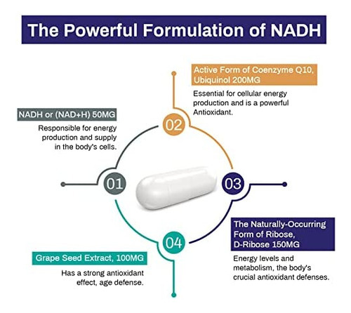 Aesticum Nadh 50mg + Coqmg + D-ribose 150mg Supplement, Boos - Imagem 4