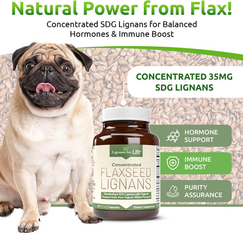 Lignanas Para A Vida Lignanas De Linhaça Para Cães E Pessoas - Imagem 2