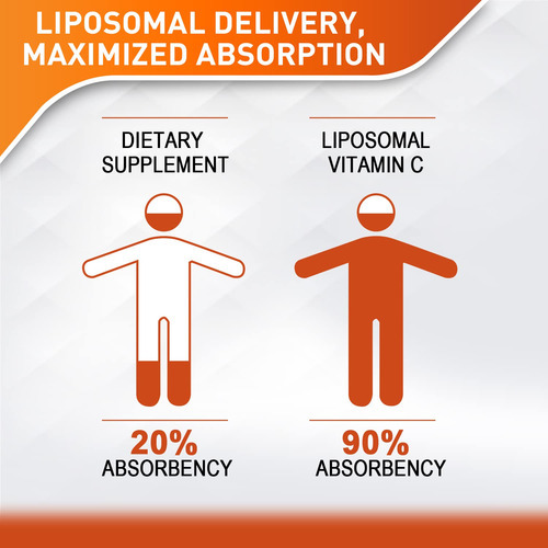 Suplemento Vitablosom Lipossomal Vitamin C 2000mg 60ml - Imagem 2