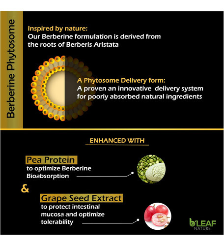 Bleaf Natures Berberine Phytosome Vegetarian Capsules - Ab - Imagem 5
