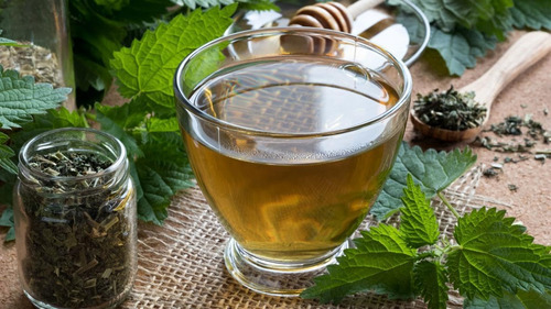 Semente De Urtiga Natural (urtica Dioica) - 250g Qualidade P - Imagem 6