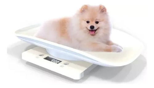 Balança Veterinária Digital Capacidade 10kg ± 1g Pet