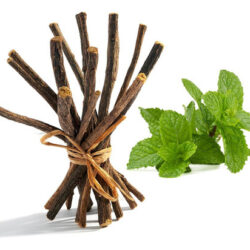 Aroma Depot Hortelã-pimenta 4 Onças. Sticks Para Mastigar Ra