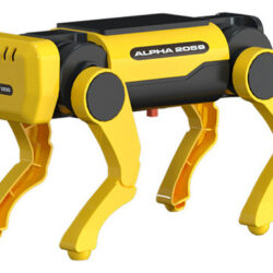 * Kit De Montagem De Robôs Inteligentes Para Cães.