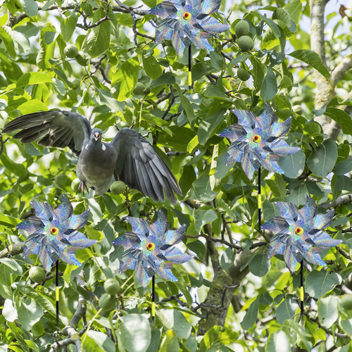 Repelente De Pássaros, Cata-vento, 8 Peças, Planta De Jardim - Imagem 3