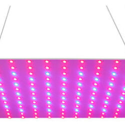 Led Grow Light Vermelho Azul Full Spectrum 81 Leds Grow Lamp
