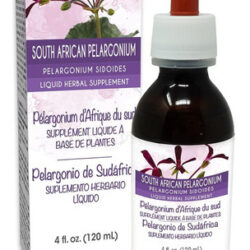 Naturalma Pelargonium Sul Africano Ou Umckaloaba (pelargoniu