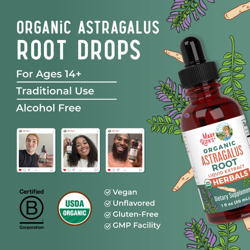 Raiz De Astrágalo Maryruth Organics, Sem Açúcar, Usda Orgâni - Imagem 8