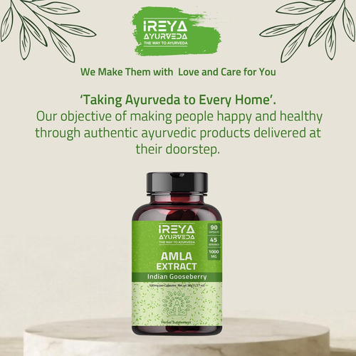 Cápsulas De Extrato De Fruta Amla De Ireya Ayurveda (90 Cáps - Imagem 5
