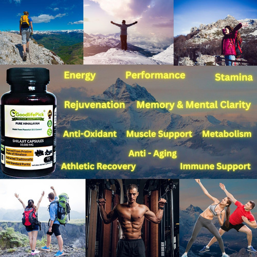 Cápsulas Puras De Shilajit Do Himalaia Mg. Shilajit Natural - Imagem 5