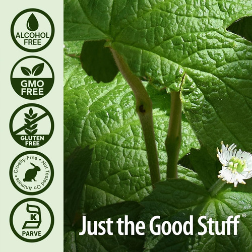 A Natureza Responde À Raiz De Goldenseal | Suplemento De Erv - Imagem 5