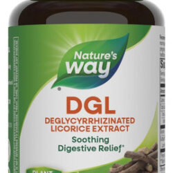 Comprimido Mastigável Natures Way Dgl - Suporte E Alívio Dig