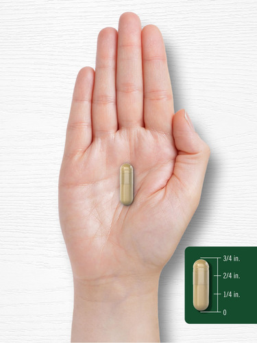 Suplemento De Extrato De Cogumelo Carlyle Shiitake 3000 Mg 2 - Imagem 8
