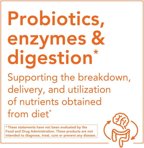 Now Foods Supplements, Raiz De Gengibre (zingiber Officinale - Imagem 7