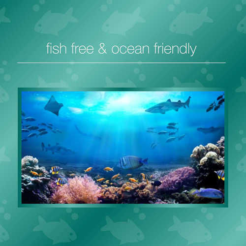Youtheory Ocean-friendly Omega - Vegan Algae Omega 3 Softgel - Imagem 3