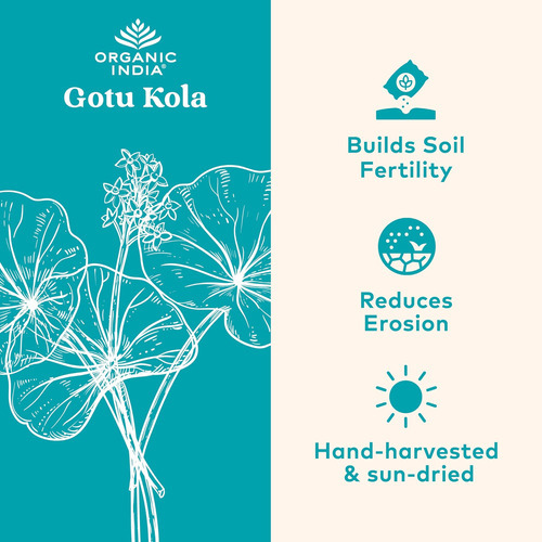 Suplemento De Ervas Gotu Kola Da Índia Orgânica - Adaptógeno - Imagem 2