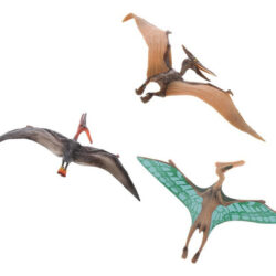 3 Peças De Dinossauro Pterossauro Educativos Para Crianças