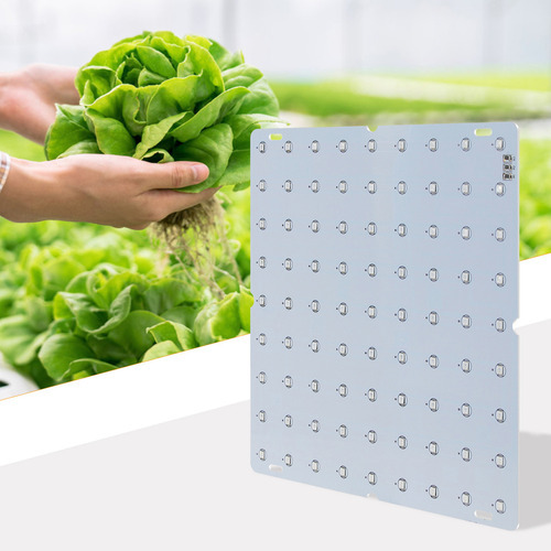Led Grow Light Vermelho Azul Full Spectrum 81 Leds Grow Lamp - Imagem 3