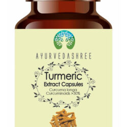 Ayurvedashree Açafrão Extrato 500mg - 60 Cápsulas Vegetarian