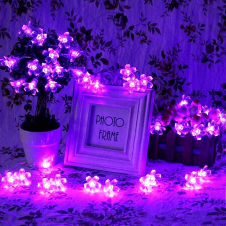 5m Luzes Natal Ao Ar Livre Luz Solar Da Corda Da Flor 20led- - Imagem 47