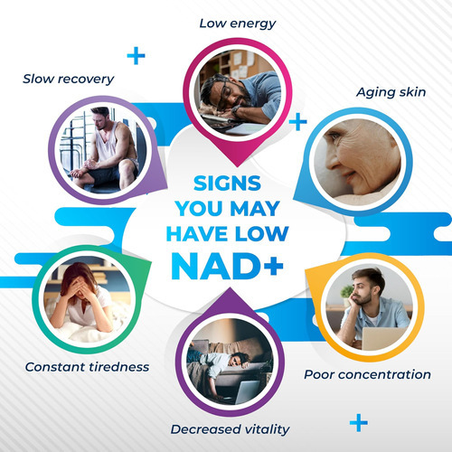 Nurafuse Liposomal Nad+ Trans-resveratrol 6000mg Com Vinho T - Imagem 3