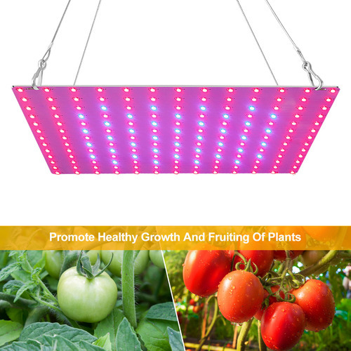 Led Grow Light Vermelho Azul Full Spectrum 81 Leds Grow Lamp - Imagem 8