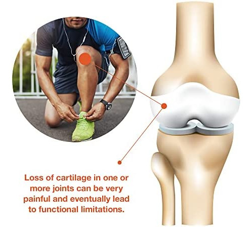 Colágeno Articular Youtheory Para Homens Colágeno Hidrolisa - Imagem 3