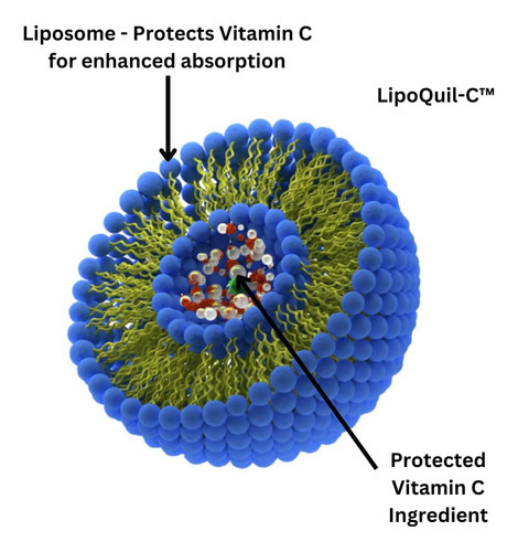 Research Labs Absorção De Suplemento De Vitamina C Lipossoma - Imagem 2