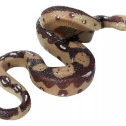 . Grande Cobra De Borracha Realista, Brinquedo De Serpente