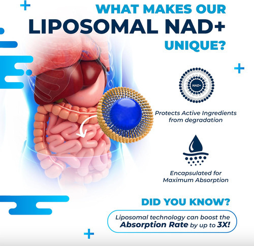 Nurafuse Liposomal Nad+ Trans-resveratrol 6000mg Com Vinho T - Imagem 6