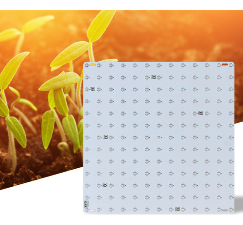 Led Grow Light Vermelho Azul Full Spectrum 81 Leds Grow Lamp - Imagem 4