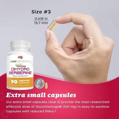 Nootrópicos Puro - Suplemento De Di -hidroberberina (glucova - Imagem 6