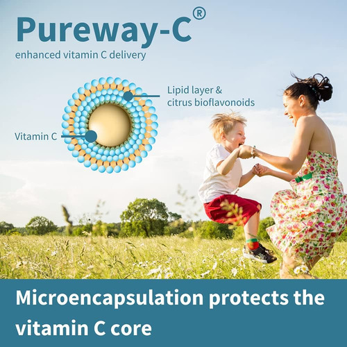 Super Vitamina C De Alta Absorção, Clean Label Pureway-c 100 - Imagem 3