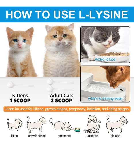 Pó De L -lisina Para Gatos, 120g De Pó De Lisina Suporta Gat - Imagem 7