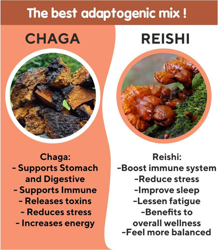 Chá Baikal Chá Chaga Reishi Chá Chaga Selvagem Com Reishi - - Imagem 4