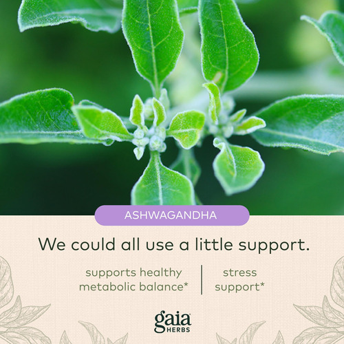 Suplemento Gaia Herbs Stress Response Phyto-caps 30 Cápsulas - Imagem 5