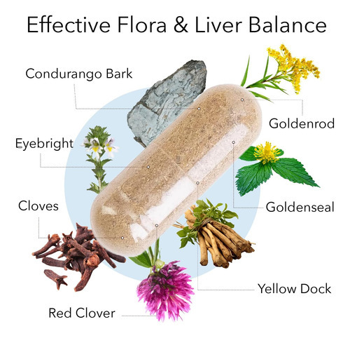Kroeger Herb, Candida Liver Care - 100 Cápsulas Vegetarianas - Imagem 2