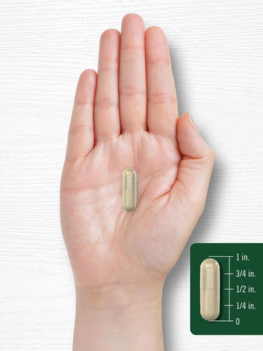 Suplemento De Sálvia Carlyle 1600mg | 180 Cápsulas | Alta Po - Imagem 6