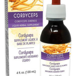 Naturalma Cordyceps (cordyceps Sinensis) Fungo Ou Cogumelo T