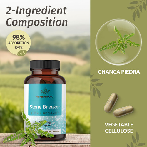 Suplemento Herbamama Stone Breaker Chanca Piedra 1200 Mg 100 - Imagem 4