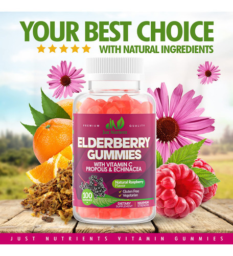 Suplemento Just Nutrients Elderberry Sambucus Gummies 100ct - Imagem 4