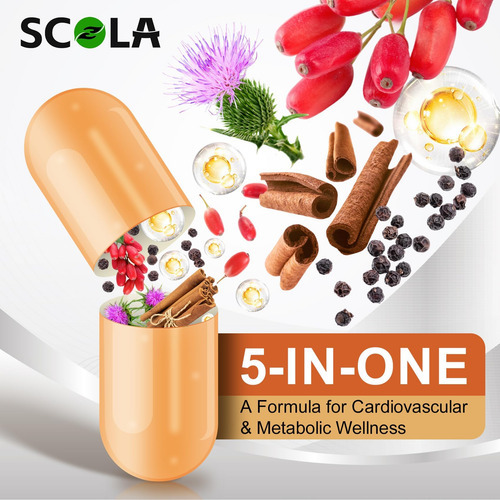 Suplemento De Berberina Scola 500 Mg - Berberina Orgânica Co - Imagem 4